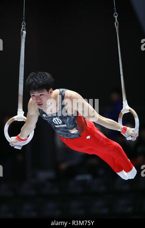 Takasaki Arena, Gunma, Japan. 23rd Nov, 2018. Hibiki Arayashiki, NOVEMBER 23, 2018 - Artistic Gymnastics : Gymnastics Men's individual super finals, Rings at Takasaki Arena, Gunma, Japan. Credit: Sho Taura/AFLO SPORT/Alamy Live News Stock Photo