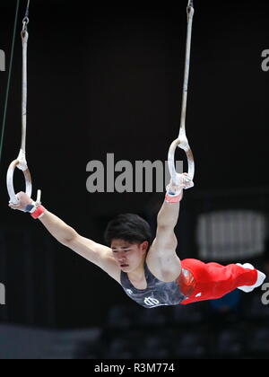 Takasaki Arena, Gunma, Japan. 23rd Nov, 2018. Kakeru Tanigawa, NOVEMBER 23, 2018 - Artistic Gymnastics : Gymnastics Men's individual super finals, Rings at Takasaki Arena, Gunma, Japan. Credit: Sho Taura/AFLO SPORT/Alamy Live News Stock Photo