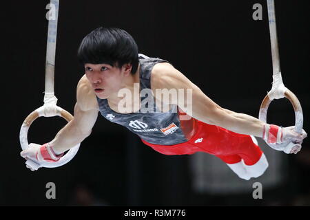 Takasaki Arena, Gunma, Japan. 23rd Nov, 2018. Kakeru Tanigawa, NOVEMBER 23, 2018 - Artistic Gymnastics : Gymnastics Men's individual super finals, Rings at Takasaki Arena, Gunma, Japan. Credit: Sho Taura/AFLO SPORT/Alamy Live News Stock Photo