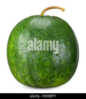 Winter melon isolated on white cllipping path. Stock Photo