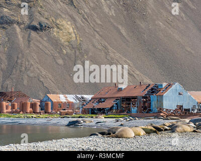 Ruins of Stromness Whaling Station in South Georgia Island Antarctica, South Georgia Island Stock Photo