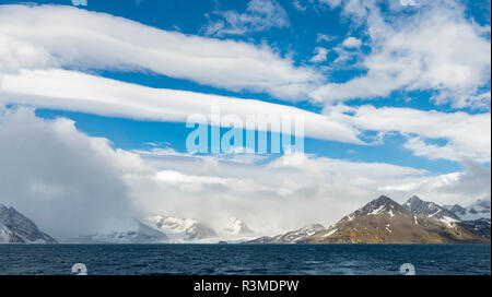 Royal Bay with typical dramatic clouds, South Georgia Island Stock Photo