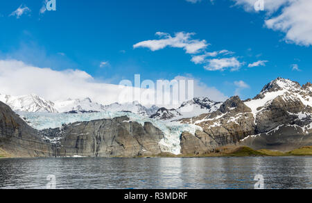 Gold Harbour with mighty Bertrab Glacier on South Georgia Island Stock Photo