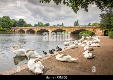 Serpentine bridge, Hyde Park, London, England, UK Stock Photo
