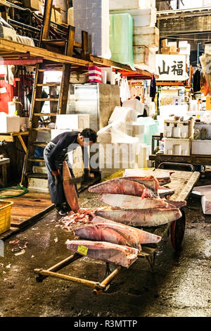 Tokyo, Japan. Fish monger saws large frozen portions of mackerel for sale at Tsukiji fish market Stock Photo