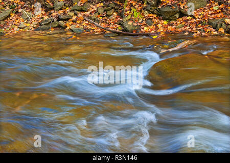 Canada, Ontario. Kagawong Creek scenic. Stock Photo