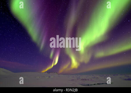 Northern Lights, North East Coast Greenland Stock Photo