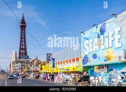 Blackpool tower beach seafront promenade with Sealife centre amusements and horse drawn carriages Blackpool Lancashire England GB UK Europe Stock Photo