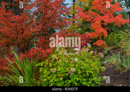 Colorful floral display with autumn trees in Gyro Park in Nelson, British Columbia, Canada Stock Photo