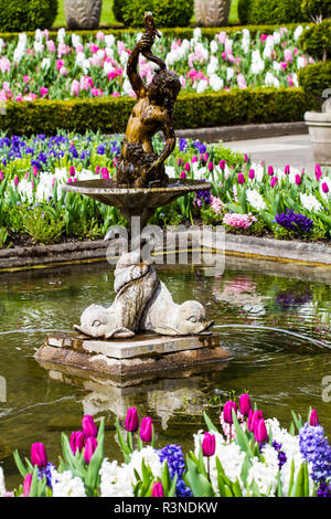 Victoria, British Columbia, Vancouver Island, Canada. Butchart Gardens, Italian sculpture and dolphin water fountain with spring tulips and hyacinths Stock Photo - Alamy