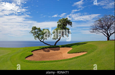 Golf course on the cliff by the ocean Stock Photo