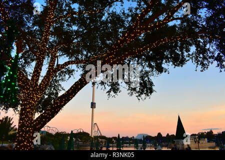Orlando, Florida. November 17, 2018. Beautiful scenery with illuminated tree, christmas trees over lake, roller coaster on sunset background in Intern Stock Photo