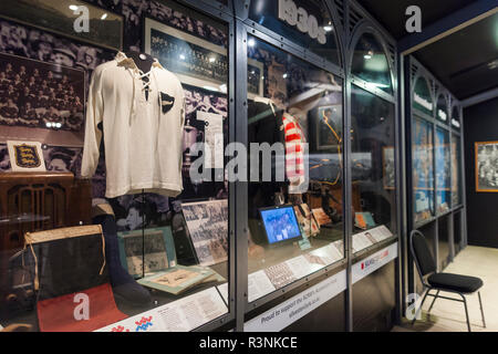 New Zealand, North Island, Palmerston North. New Zealand Rugby Museum, interior display Stock Photo
