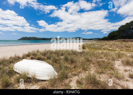 New Zealand, North Island, Coromandel Peninsula. Cooks Beach, beachfront Stock Photo