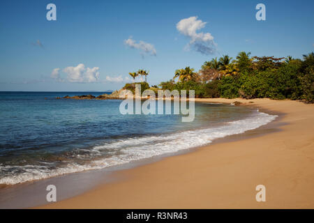 Caribbean, Puerto Rico, Vieques. Tranquil beach landscape. Stock Photo