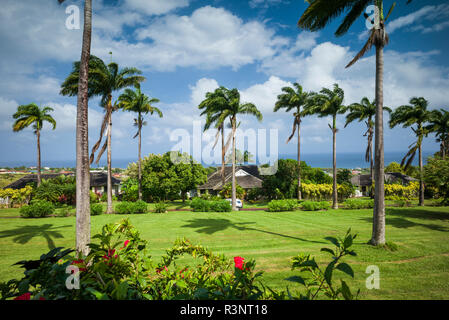 St. Kitts and Nevis, St. Kitts. Ottley's Plantation Inn, old sugar plantation now a hotel, grounds