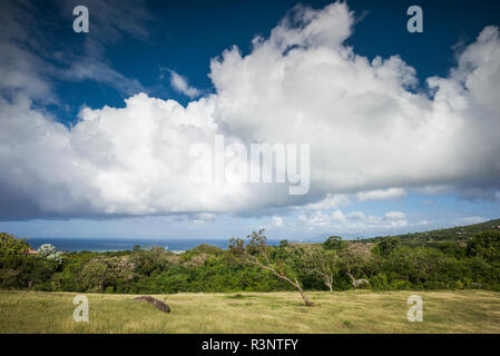 St. Kitts and Nevis, Nevis. Cole Hill, field Stock Photo