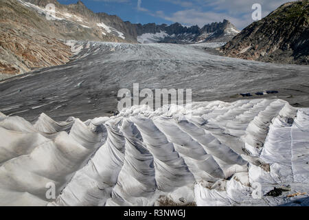 Climate | Albedo | Rhone: Huge fleece blankets cover parts of the Rhone Glacier in Switzerland in an attempt to stall the inevitable melting of the snow and ice. After a winter with record amounts of snow, most of it was gone when this image was taken on July 14th 2018, exposing the darker ice. While snow is a brilliant reflector of the energy from the sun, the darker ice absorbs the energy instead, accelerating the melting of the glacier. The color and darkness of glacier ice vary all over the world, depending on build-up of pollution, age of the ice, particles picked up by the ice and by mic Stock Photo