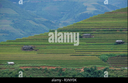 Ha Giang aerial landscape in Northern Vietnam. drone aerial view of Ha ...