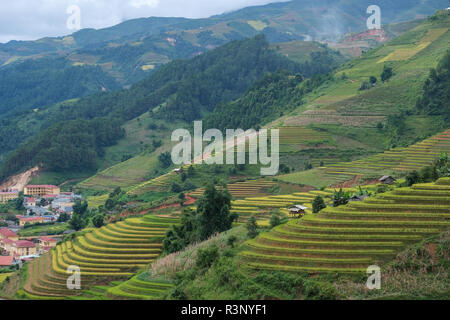 Aerial view of Vietnam landscapes. Yellow rice field in village at Ha ...