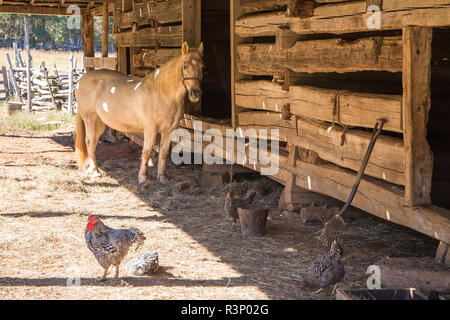 Barnyard and fence Stock Photo - Alamy