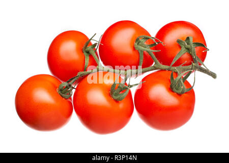Fresh tomatoes on a green branch isolated on white background. Top view. Solanum lycopersicum Stock Photo