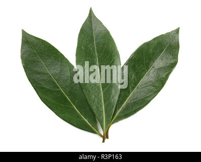 laurel leaf isolated on white background. Fresh bay leaves. Top view Stock Photo