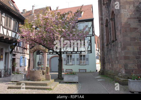 Public village square in Alsace, France Stock Photo