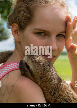 Portrait of a young girl with a sloth hanging on her shoulder. A sloth i slow-moving tropical American mammal that hangs upside down from the branches Stock Photo
