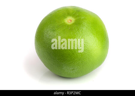 Citrus Sweetie or Pomelit, oroblanco isolated on white background close-up Stock Photo
