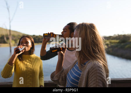 Friends drinking beer in cabin near lake Stock Photo