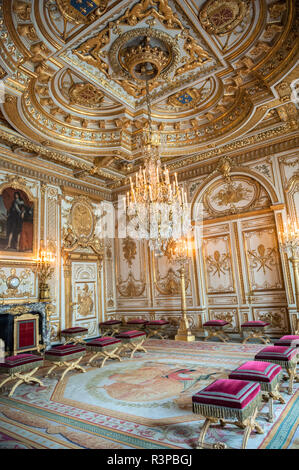 Palace of Fontainebleau: Napoleon Throne Room. In 1808 Napoleon decided to  install his throne in the former bedroom of the Kings of France, on the  place where the royal bed had been.