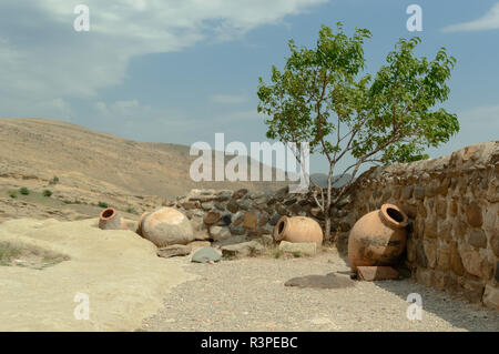 ancient jugs and sapling Stock Photo