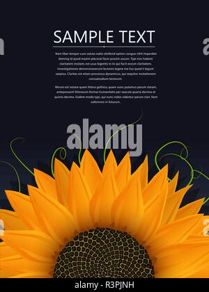 Sunflower vector illustration with copy space Stock Vector