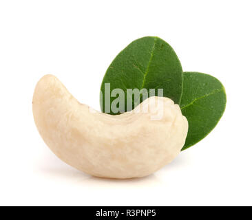 cashew nut with leaf isolated on white background. macro Stock Photo