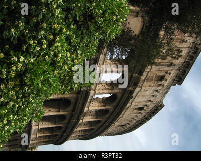 Statius Taurus Rome The amphitheater of Statilius Taurus in Rome; Amphitheatrum Tauri ...