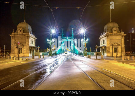 Hungary, Budapest, Liberty bridge at night Stock Photo