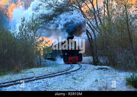 Romania, Viseu de Sus. Carpathian Forest Steam train. Vaser Valley Railway. Wood-burning, steam locomotive. Narrow-gauge railway. Initiated 1932. Stock Photo