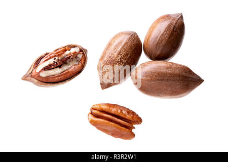 Pecan nuts isolated on white background. Carya illinoinensis Stock Photo