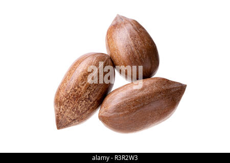 Pecan nuts isolated on white background. Carya illinoinensis Stock Photo