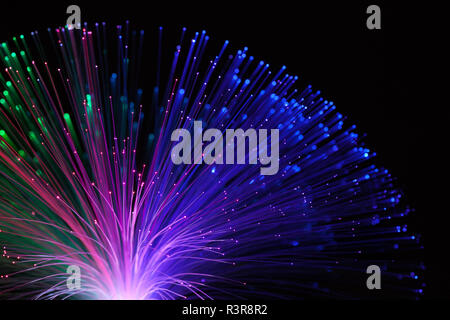 Optical fibres. Stock Photo