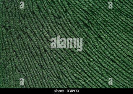 Dark green stripy material texture. Refined deep green textile background. Stock Photo
