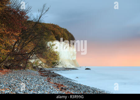 chalk cliffs on the baltic sea to the sunrise. the sky turns reddish clouds. In the foreground is a natural beach with trees and shrubs - jasmund Stock Photo
