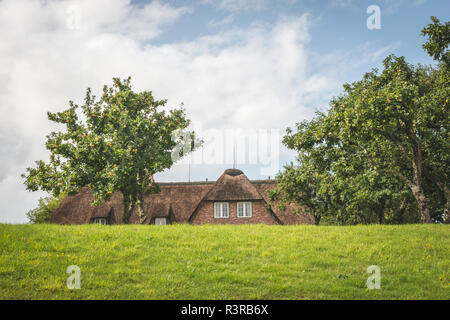Germany, Schleswig-Holstein, Sylt, Keitum, thatched-roof house behing dyke Stock Photo