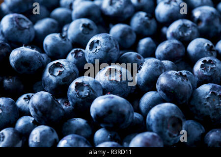 Blueberries, close-up Stock Photo