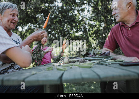 Senior couple at garden table with granddaughter harvesting carrots Stock Photo