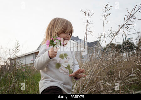 Carefree little girl picking flowers Stock Photo