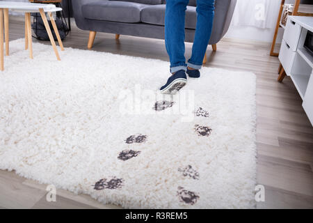 Low Section View Of A Person Walking With Muddy Footprint On Carpet At Home Stock Photo