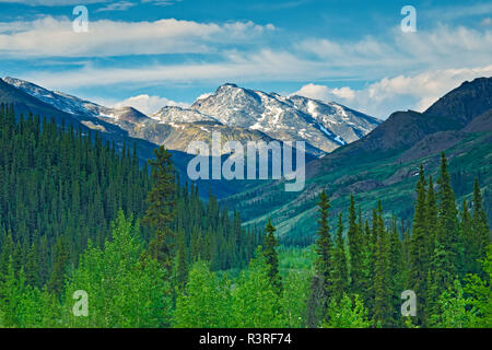 Yukon mountain landscape Stock Photo - Alamy