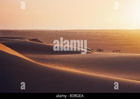Sand dunes in desert landscape at sunset. Wahiba Sands, Sultanate of Oman. Stock Photo